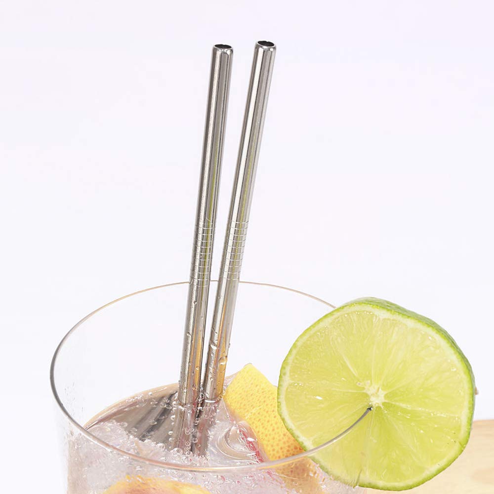 Stainless Steel Straws - Set of 10