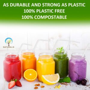 Naturalik 250 Pack Biodegradable Plant Based Straws- 9" Long Straws- 100% Compostable- Flexible Straws Eco-Friendly- Plastic Free Drinking Straws- Bendy Straws for Smoothies, Party Decorations (PLA)