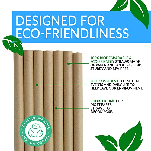 Reli. 400 Pack Paper Straws (Kraft Brown) | Paper Straws for Drinking - Disposable, Biodegradable/Eco-Friendly | Brown Drinking Straws for Crafts, Party Decoration/Supplies, Restaurants, Juice