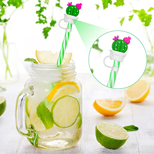 2pcs Straw Tips Cover Straw Covers Cap for Reusable Straws Cloud Shape Straw Protector, Silicone Straw Plugs Reusable Cloud Shape Straw Protector (Prickly pear)