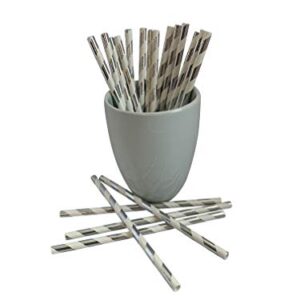 Kingseal FSC Certified Paper Cocktail Straws, Unwrapped, 6mm x 5.75 Inches, Silver Stripe, Biodegradable, Earth Friendly, Bulk Pack - 1 Box of 500 Straws