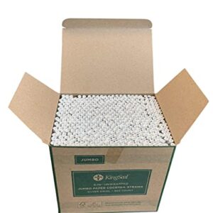 Kingseal FSC Certified Paper Cocktail Straws, Unwrapped, 6mm x 5.75 Inches, Silver Stripe, Biodegradable, Earth Friendly, Bulk Pack - 1 Box of 500 Straws