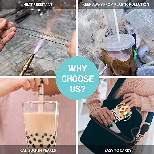 Reusable Glass Straws: 2 Regular Straws + 2 Boba Straws + 2 Wheat Cases + 4 Cleaning Brushes + Pouch, for Hot and Cold Drinks, Portable for Personal Use, Smoothie Bubble Tea, 9 inches (Blue&Green)