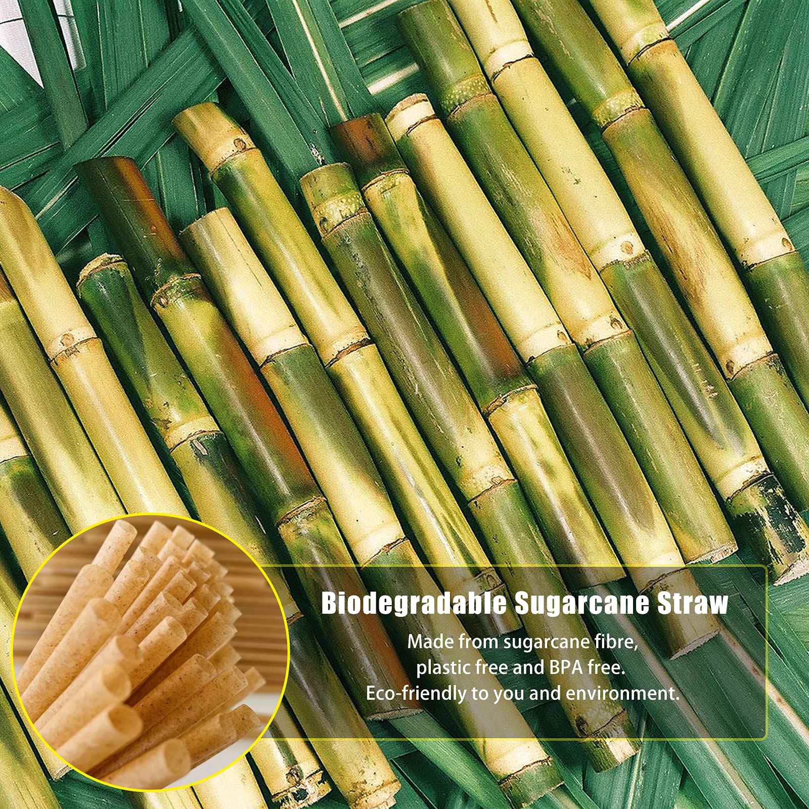 Biodegradable Eco-Friendly Sugarcane Straws 10.2 Inch Long Compostable Drinking Straws Bulk Plasticless A Sturdy Straws Works for Hot/Cold Drinks Not Soggy Alternative to Platic/Paper Ones