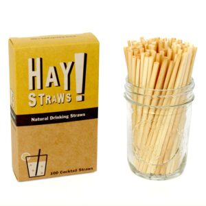 hay! straws cocktail straw | 100ct | 5" | 100% biodegradable, 100% plant-based, never soggy, gluten-free | sustainable alternative to plastic & bioplastic straws