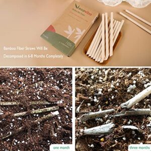 Ecovibe Straws Bamboo Straws Milkshake Straws Bamboo Straws Disposable Compostable Disposable Straw Straws For Hot Drinks Paper Boba Straws Bamboo Straw Drinking Bambo Straws Eco Straws（50 Pcs)