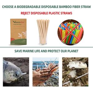 Ecovibe Straws Bamboo Straws Milkshake Straws Bamboo Straws Disposable Compostable Disposable Straw Straws For Hot Drinks Paper Boba Straws Bamboo Straw Drinking Bambo Straws Eco Straws（50 Pcs)