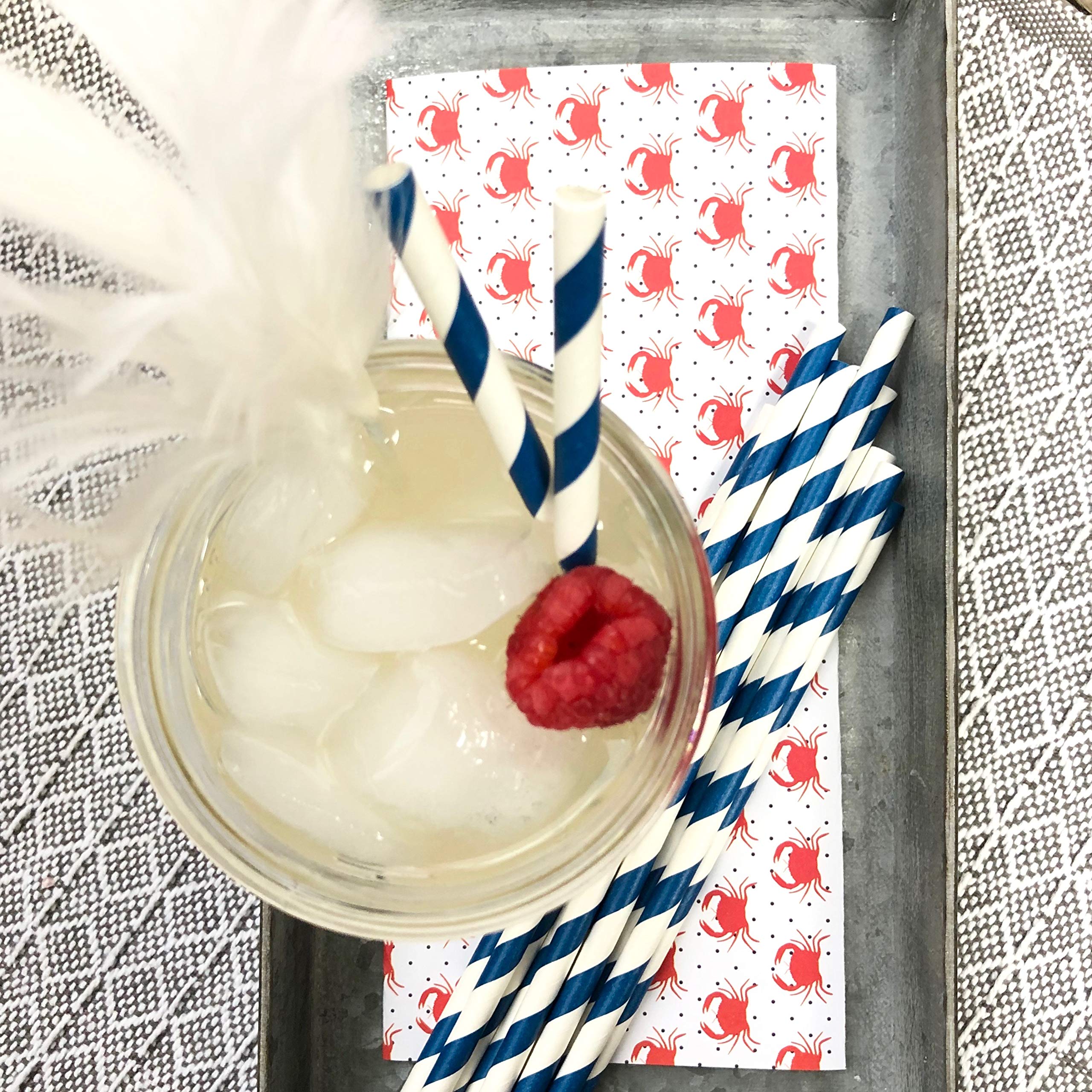 Paper Straws - Navy Blue and White - Stripe Chevron Polka Dot - 7.75 Inches - 100 Pack - Outside the Box Papers Brand