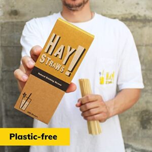 HAY! Straws Tall Drinking Straw | 100ct | 7.75" | 100% Biodegradable, 100% Plant-Based, Never Soggy, Gluten-Free | Sustainable Alternative to Plastic & Bioplastic Straws