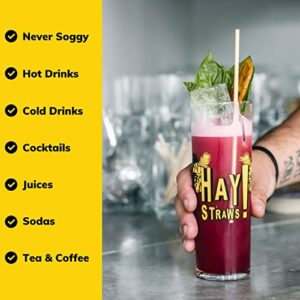 HAY! Straws Tall Drinking Straw | 100ct | 7.75" | 100% Biodegradable, 100% Plant-Based, Never Soggy, Gluten-Free | Sustainable Alternative to Plastic & Bioplastic Straws