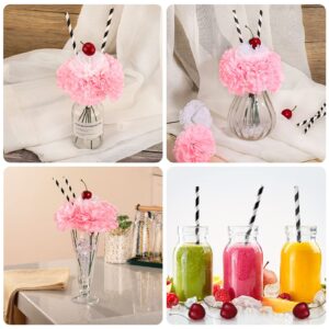 50's Soda Shop Party Decor, Artificial Silk Carnation Picks Set Include White Pink Carnation Flowers and Lifelike Cherries with Paper Straws for DIY Rock and Roll, Containor Wasn't Included (116 Pcs)