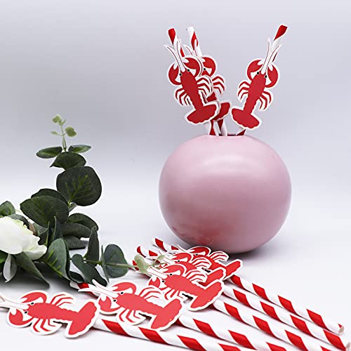 Lobster Paper Straws Decor-24 Pack of Crawfish Birthday Party or Christmas Paper Straws Supplies-Red and White Disposable Striped Paper Decorative Drinking Straws for Seafood Party Decorations