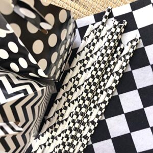 Black and White Race Theme Paper Straws - Checkered and Banner - 100 Pack