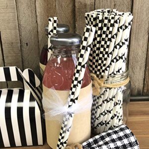 Black and White Race Theme Paper Straws - Checkered and Banner - 100 Pack