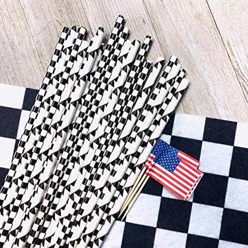 Black and White Race Theme Paper Straws - Checkered and Banner - 100 Pack