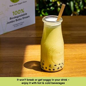 100% Biodegradable Straws (Boba Straws 100 PCS)