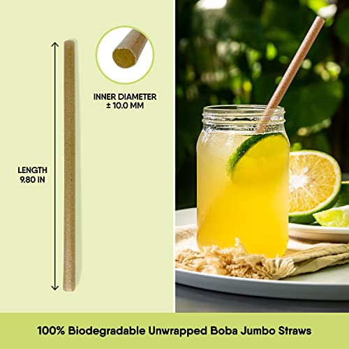 100% Biodegradable Straws (Boba Straws 100 PCS)