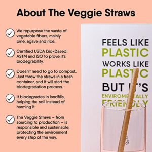 100% Biodegradable Straws (Boba Straws 100 PCS)