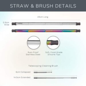 FinalStraw Collapsible, Reusable, Metal Straw | Travel Case, Cleaning Tool | Easy to Clean | Stainless Steel and 100% Silicon Tips | Eco-Friendly | Porpoise-ful Purple Case, Rainbow Stainless Steel