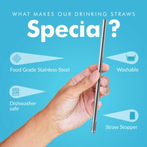 Stainless Steel Reusable Straws, 9.5-inches Straight Metal Straw for Drinking Hot and Cold Beverages, Designed with Stopper, Set of 6 Metal Straws - Simply Green Solutions