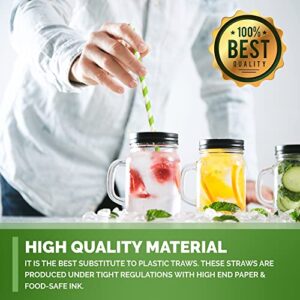 Sage Mountain Biodegradable Paper Drinking Straws for Smoothies, Shakes, and Bubble Teas