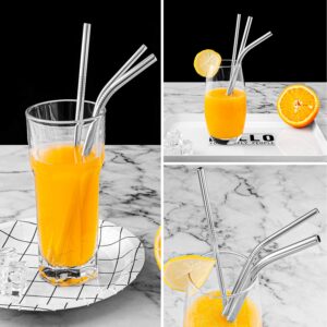 Reusable Straws with Case, Metal Straw Reusable Straws Drinking Straws Portable Eco Friendly Straight and Curved Stainless Steel Straws 8 Set with 2 Straw Cleaner