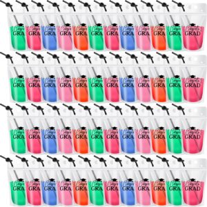 lallisa graduation party supply drink pouches for adults with straws plastic smoothie bags translucent reclosable beverage juice milk tea coffee pouches for adults student school(48 pcs)