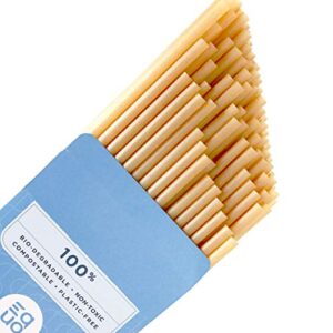 equo sugarcane straws, disposable, biodegradable, compostable, and plastic-free drinking straws, pack of 50, standard