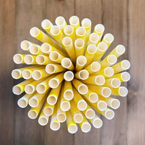 Pastel Stripe Paper Straws - Pink Light Blue Yellow Mint Green Lavender Peach Coral - 150 Pack Outside the Box Papers Brand