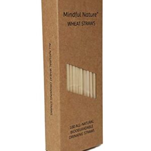 Mindful Nature® Wheat Straws - 100 All-Natural Drinking Straws - Single use, Disposable, Biodegradable, and Compostable