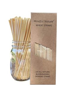 mindful nature® wheat straws - 100 all-natural drinking straws - single use, disposable, biodegradable, and compostable
