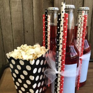 Paper Drinking Straws - Black Red and White Polka Dot - Ladybug Theme - 7.75 x .25 Inches - 100 Pack - Outside the Box Papers Brand