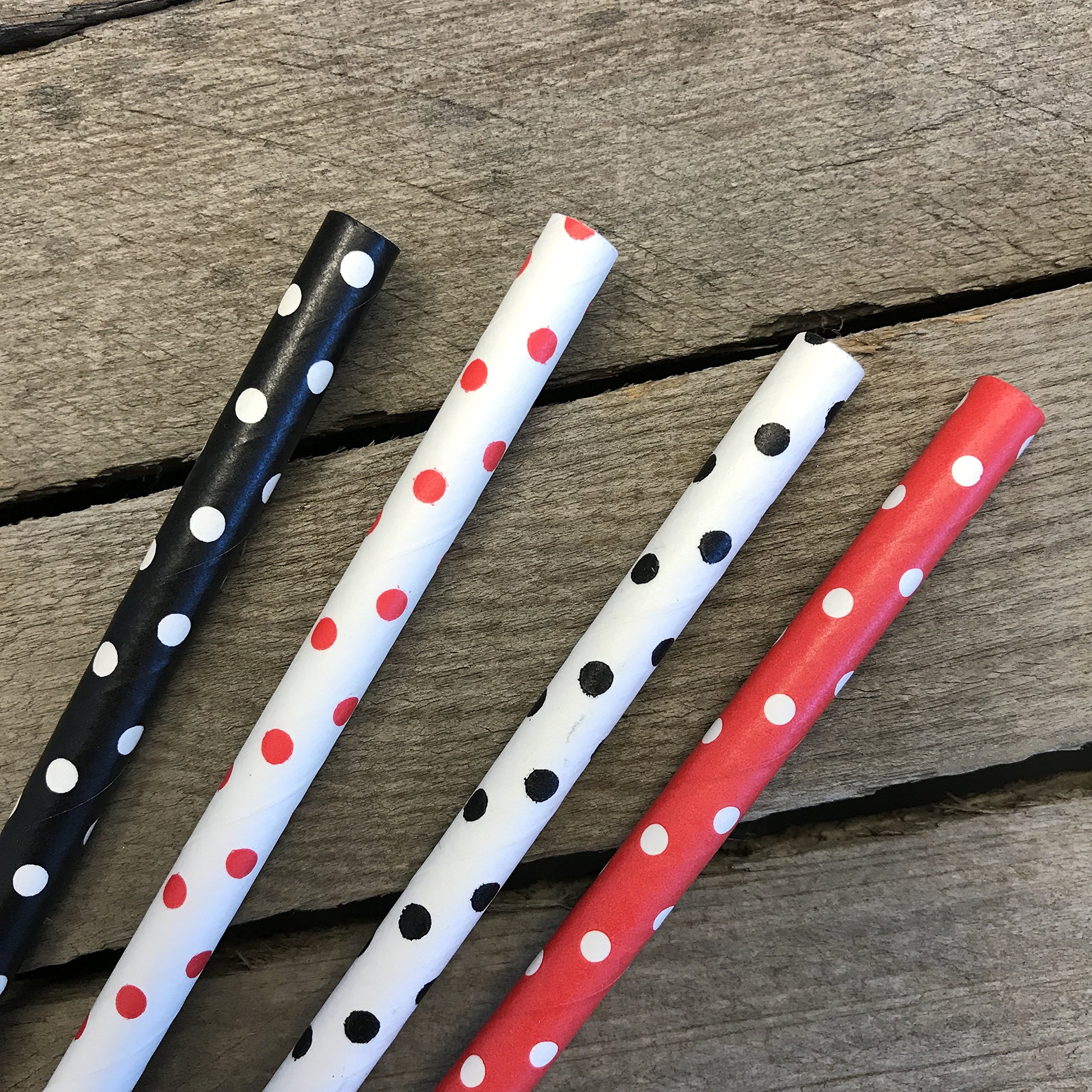 Paper Drinking Straws - Black Red and White Polka Dot - Ladybug Theme - 7.75 x .25 Inches - 100 Pack - Outside the Box Papers Brand