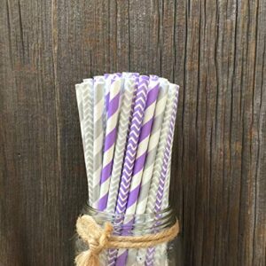 Outside the Box Papers Lavender/Lilac and Silver Stripe and Chevron Paper Straws 7.75 Inches 100 Pack Lilac, White