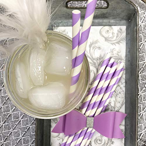 Outside the Box Papers Lavender/Lilac and Silver Stripe and Chevron Paper Straws 7.75 Inches 100 Pack Lilac, White