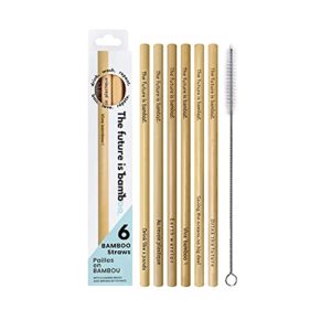 the future is bamboo – bamboo straws, reusable straws, wooden straws for drinks, pack of 6
