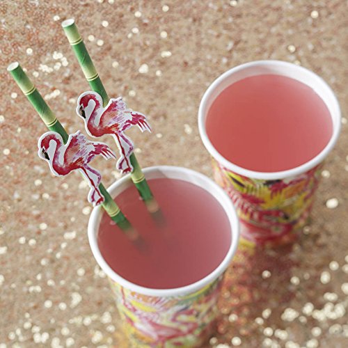 CTIGERS Bamboo Print Biodegradable Drinking Paper Straws for Party Box of 100