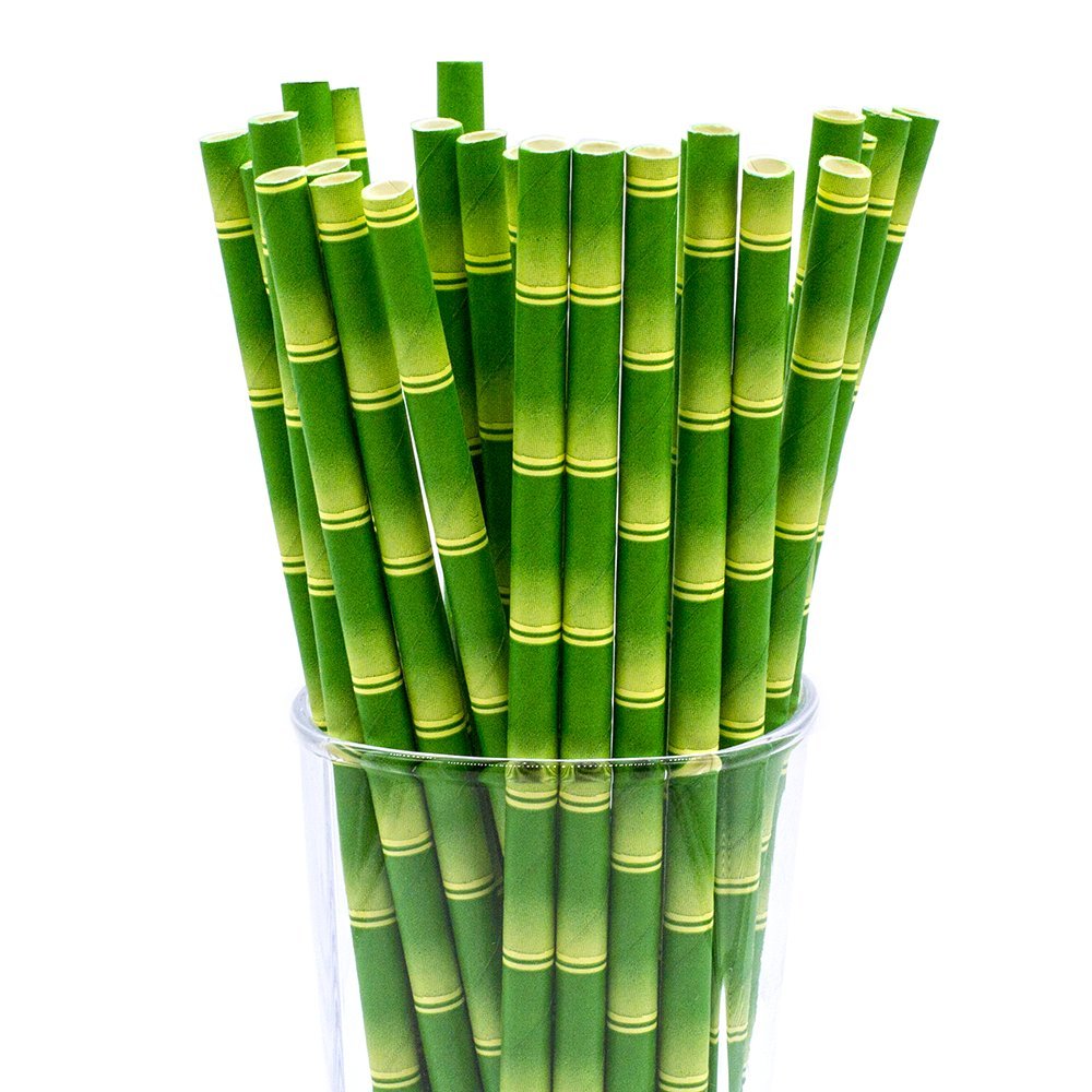 CTIGERS Bamboo Print Biodegradable Drinking Paper Straws for Party Box of 100