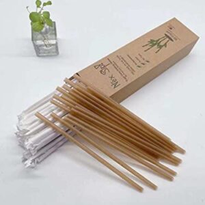 Nex Sip! Biodegradable Sugarcane Drinking Straws (Individually Wrapped) Box of 50