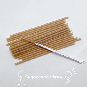 Nex Sip! Biodegradable Sugarcane Drinking Straws (Individually Wrapped) Box of 50