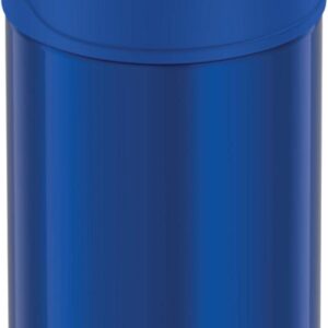 THERMOS FUNTAINER 12 Ounce Stainless Steel Vacuum Insulated Kids Straw Bottle, Blue and Thermos Replacement Straws for 12 Ounce Funtainer Bottle, Clear, 1 Pack