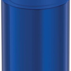 THERMOS FUNTAINER 12 Ounce Stainless Steel Vacuum Insulated Kids Straw Bottle, Blue and Thermos Replacement Straws for 12 Ounce Funtainer Bottle, Clear, 1 Pack