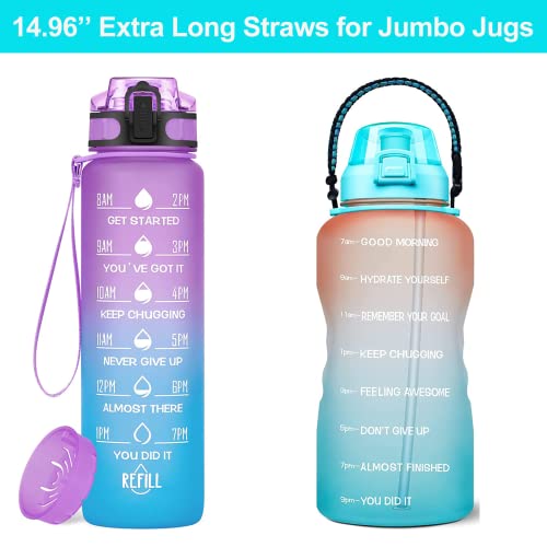 TeHappy Water Bottle Straw for Replacement, Reusable Straws for 64oz and 128oz Big Bottles Jugs, 4 Extra Long 14.9’’ Straw with 2 Cleaning Brushes Set of 6, Cut to Fit Any Bottle