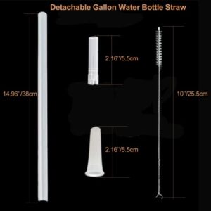 TeHappy Water Bottle Straw for Replacement, Reusable Straws for 64oz and 128oz Big Bottles Jugs, 4 Extra Long 14.9’’ Straw with 2 Cleaning Brushes Set of 6, Cut to Fit Any Bottle