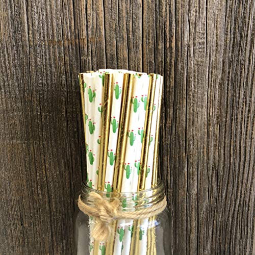 Cactus Theme Paper Straws - Green White Succulents and Gold Foil Drinking Straws - 100 Pack Outside the Box Papers Brand