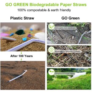 Go Green 250-Pack Red&White Paper Drinking Straws, 7.75 inch Disposable Striped Paper Straws, Natural Eco Friendly Biodegradable Drinking Straws, Party Decoration Supplies