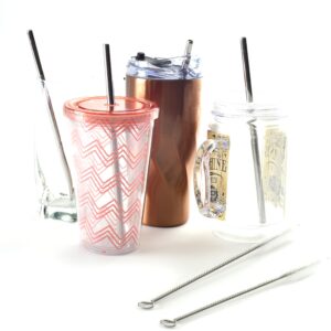 Norpro Stainless Steel Drinking Straws with 2 Cleaning Brushes