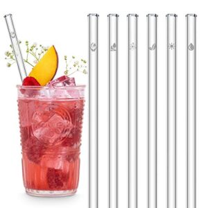 halm glass straws - climate change edition - 6 reusable drinking straws with engraved icons 20cm (8 in) - world, sun, environment, sustainability - made in germany - dishwasher safe - eco-friendly
