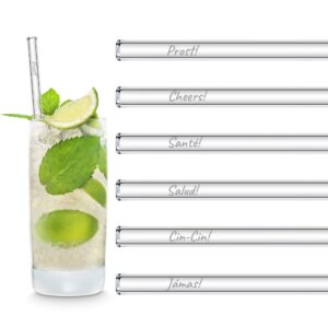 halm glass straws - international toast edition - 6 reusable drinking straws with "cheers" in 6 different languages 20cm (8 in) - prost, salud - made in germany - dishwasher safe - eco-friendly