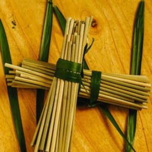 ijo grass straw IJO grass straws 100% natural, biodegradable, compostable, plastic free, eco drinking straws Pack of 100